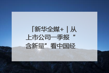 新华全媒+｜从上市公司一季报“含新量”看中国经济发展向“新”