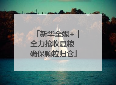 新华全媒+｜全力抢收夏粮 确保颗粒归仓