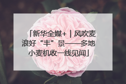 新华全媒+｜风吹麦浪好“丰”景——多地小麦机收一线见闻