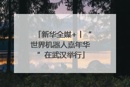 新华全媒+丨“世界机器人嘉年华”在武汉举行