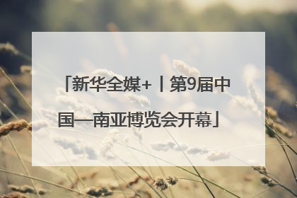 新华全媒+丨第9届中国—南亚博览会开幕