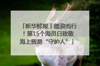 新华鲜报丨踏浪而行！第15个海员日致敬海上贸易“守护人”