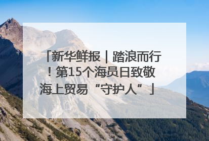 新华鲜报｜踏浪而行！第15个海员日致敬海上贸易“守护人”