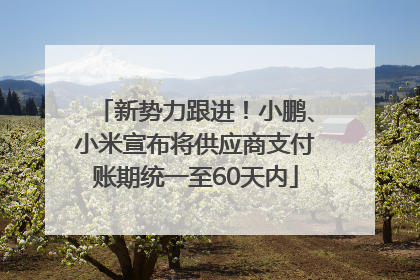 新势力跟进！小鹏、小米宣布将供应商支付账期统一至60天内
