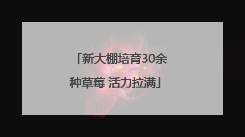 新大棚培育30余种草莓 活力拉满