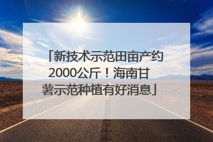 新技术示范田亩产约2000公斤！海南甘薯示范种植有好消息