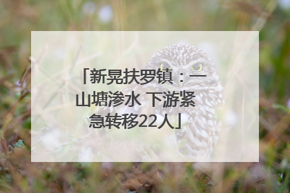 新晃扶罗镇：一山塘渗水 下游紧急转移22人