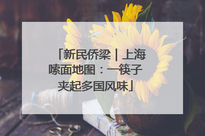 新民侨梁｜上海嗦面地图：一筷子夹起多国风味