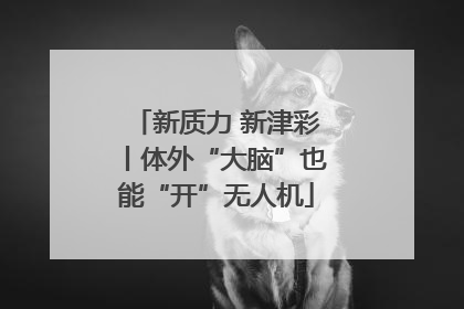 新质力 新津彩丨体外“大脑”也能“开”无人机
