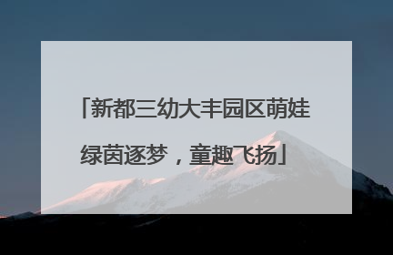 新都三幼大丰园区萌娃绿茵逐梦，童趣飞扬