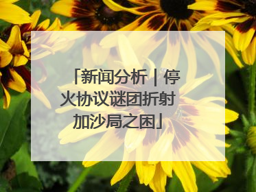 新闻分析｜停火协议谜团折射加沙局之困