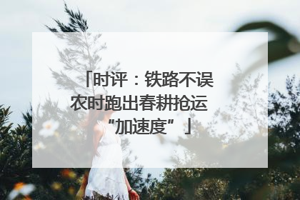 时评：铁路不误农时跑出春耕抢运“加速度”