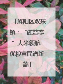 旌阳区双东镇：“旌益态”大米领航 优粮富民谱新篇