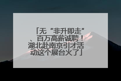 无“非升即走”、百万高薪诚聘！湖北赴南京引才活动这个展台火了