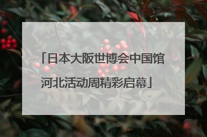 日本大阪世博会中国馆河北活动周精彩启幕