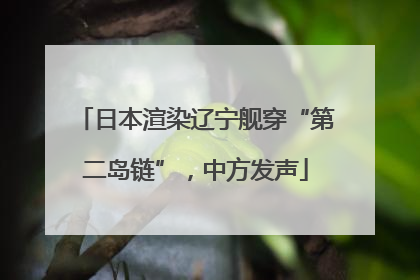 日本渲染辽宁舰穿“第二岛链”，中方发声