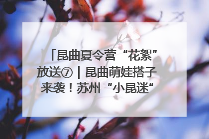 昆曲夏令营“花絮”放送⑦｜昆曲萌娃搭子来袭！苏州“小昆迷”姐弟期待同台演绎“姑苏水磨调”