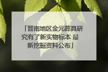 晋南地区金元葬具研究有了新实物标本 最新挖掘资料公布