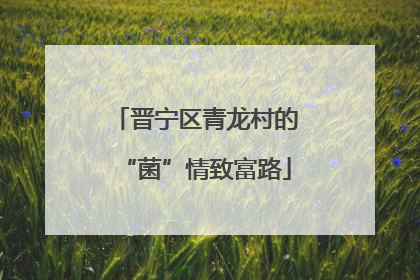 晋宁区青龙村的“菌”情致富路