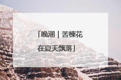 晚潮｜苦楝花在夏天飘落