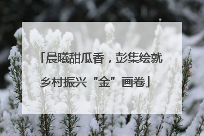 晨曦甜瓜香，彭集绘就乡村振兴“金”画卷