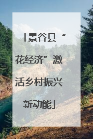 景谷县“花经济”激活乡村振兴新动能