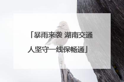 暴雨来袭 湖南交通人坚守一线保畅通