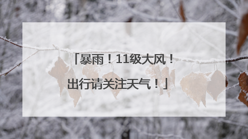 暴雨！11级大风！出行请关注天气！