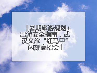暑期旅游规划+出游安全指南，武汉文旅“红马甲”闪耀高招会
