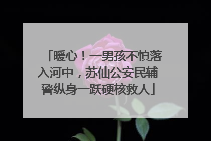 暖心！一男孩不慎落入河中，苏仙公安民辅警纵身一跃硬核救人