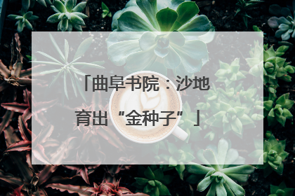 曲阜书院：沙地育出“金种子”