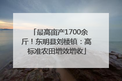最高亩产1700余斤！东明县刘楼镇：高标准农田增效增收