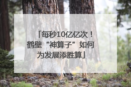 每秒10亿亿次！鹤壁“神算子”如何为发展添胜算