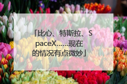比心、特斯拉、SpaceX……现在的情况有点微妙