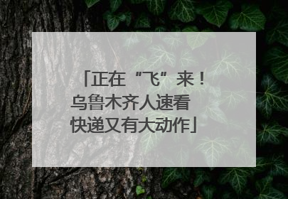 正在“飞”来！乌鲁木齐人速看 快递又有大动作