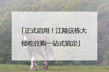 正式启用！江陵这栋大楼吃住购一站式搞定