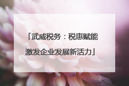武威税务：税惠赋能 激发企业发展新活力