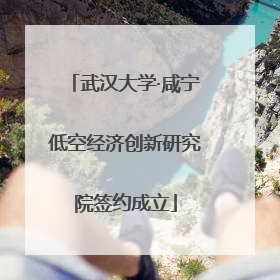 武汉大学·咸宁低空经济创新研究院签约成立