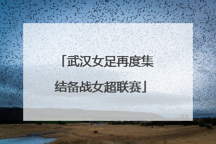 武汉女足再度集结备战女超联赛