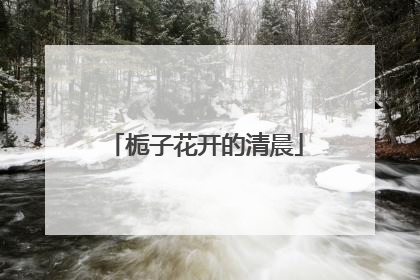 栀子花开的清晨