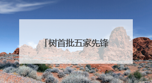 树首批五家先锋景区、三年内推百家景区低碳转型，宁德时代以科技赋能零碳文旅发展