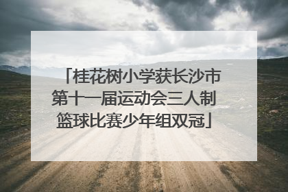 桂花树小学获长沙市第十一届运动会三人制篮球比赛少年组双冠