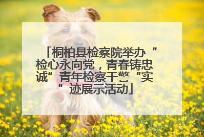 桐柏县检察院举办“检心永向党，青春铸忠诚”青年检察干警“实”迹展示活动