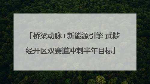 桥梁动脉+新能源引擎 武陟经开区双赛道冲刺半年目标