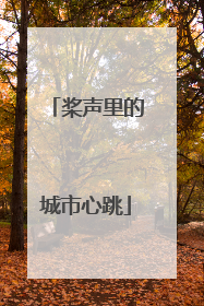桨声里的城市心跳