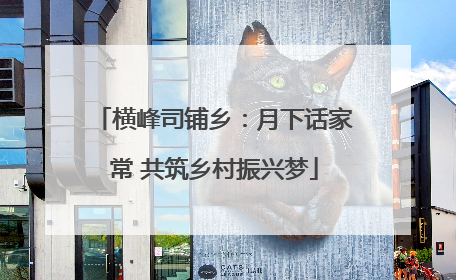 横峰司铺乡：月下话家常 共筑乡村振兴梦