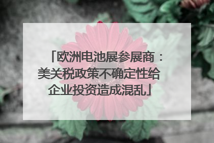 欧洲电池展参展商：美关税政策不确定性给企业投资造成混乱