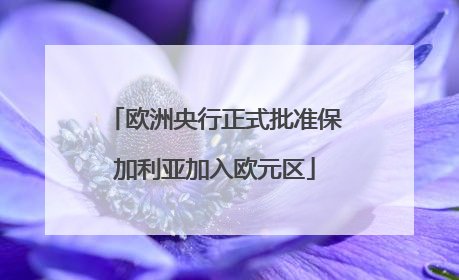 欧洲央行正式批准保加利亚加入欧元区