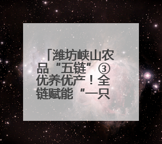 潍坊峡山农品“五链”③优养优产！全链赋能“一只鸡”