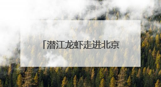 潜江龙虾走进北京，100000只虾席卷大厂餐桌